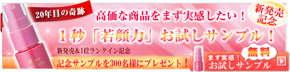 WEB����I�����O�̃T���v�����j�^�[�v���[���g�y�G�A�[�K�[�h���z